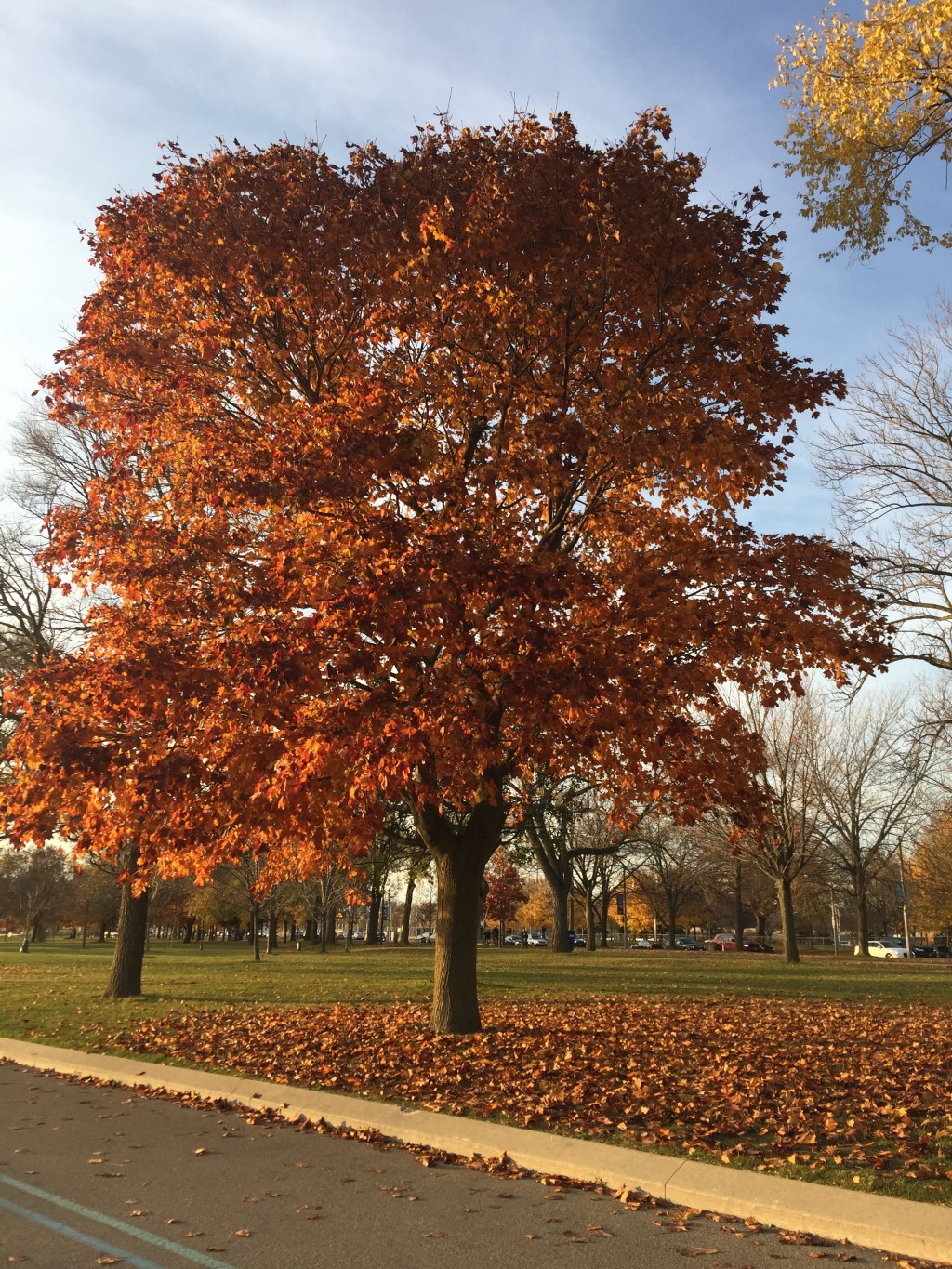 Our good friends – part&nbsp;2/2