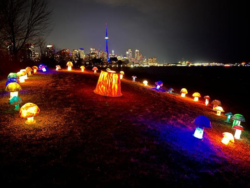 What it takes to live an environmentally conscious&nbsp;life